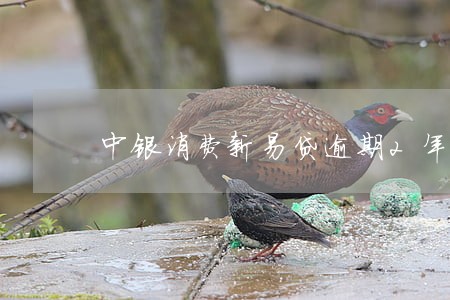 中银消费新易贷逾期2年 中银消费新易贷逾期2年