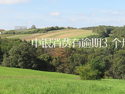 中银消费有逾期3个月以上的吗 中银消费有逾期3个月以上的吗
