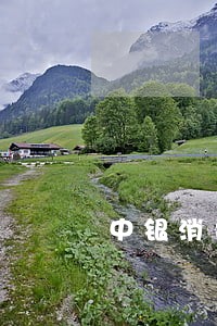 中银消费贷只还本金 中银消费贷只还本金