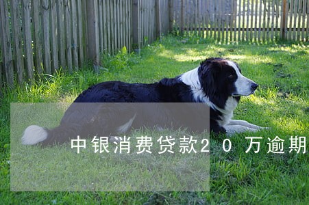 中银消费贷款20万逾期 中银消费贷款20万逾期