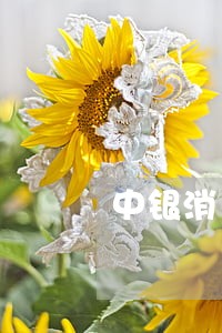 中银消费贷款晚还一天逾期么 中银消费贷款晚还一天逾期么