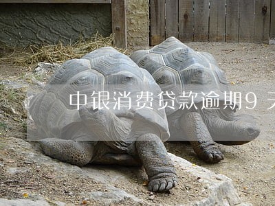 中银消费贷款逾期9天 中银消费贷款逾期9天