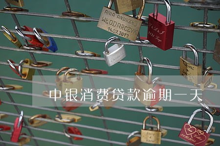 中银消费贷款逾期一天
