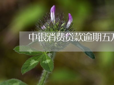 中银消费贷款逾期五万 中银消费贷款逾期五万