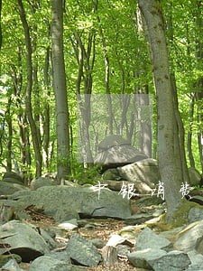 中银消费贷款逾期后果 中银消费贷款逾期后果