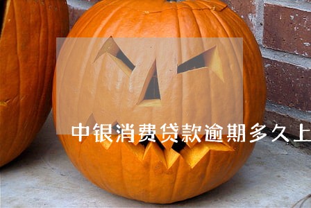 中银消费贷款逾期多久上征信6