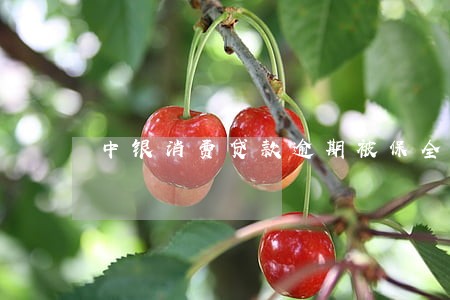 中银消费贷款逾期被保全房产 中银消费贷款逾期被保全房产