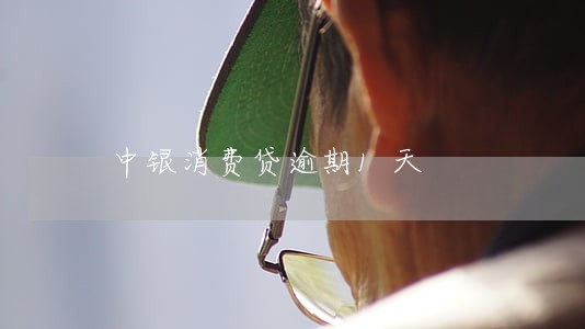 中银消费贷逾期1天 中银消费贷逾期1天
