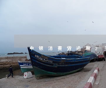 中银消费贷逾期2天 中银消费贷逾期2天