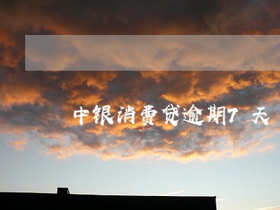 中银消费贷逾期7天