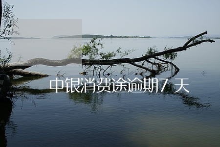 中银消费途逾期7天 中银消费途逾期7天