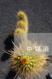 中银消费逾期3个月了怎么协商 中银消费逾期3个月了怎么协商