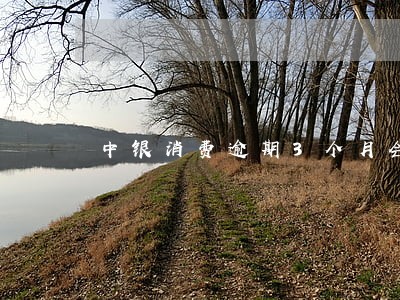 中银消费逾期3个月会解除 中银消费逾期3个月会解除