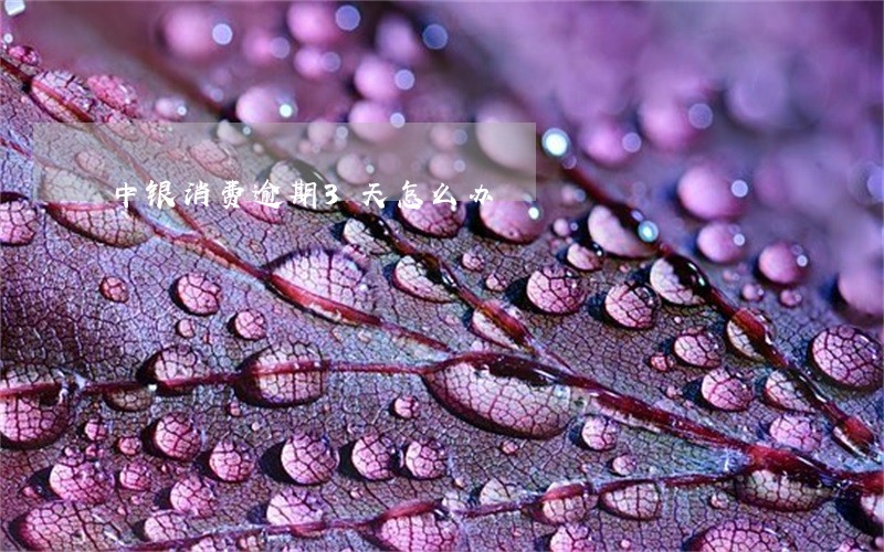中银消费逾期3天怎么办 中银消费逾期3天怎么办