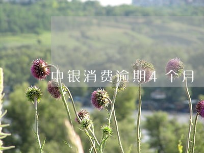 中银消费逾期4个月 中银消费逾期4个月