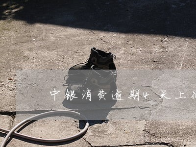 中银消费逾期4天上征信 中银消费逾期4天上征信
