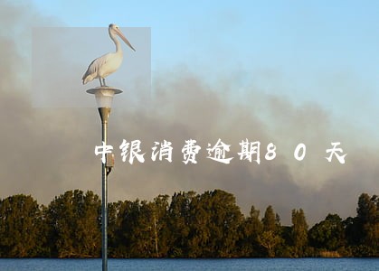 中银消费逾期80天 中银消费逾期80天