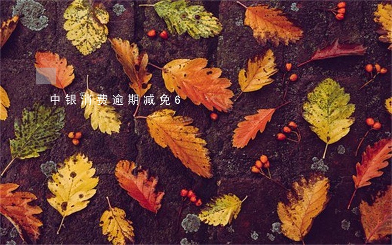 中银消费逾期减免6