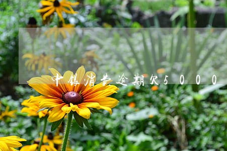 中银消费逾期欠5000 中银消费逾期欠5000