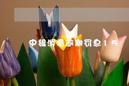 中银消费逾期罚息15 中银消费逾期罚息15