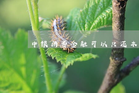 中银消费金融可以只还本金吗 中银消费金融可以只还本金吗
