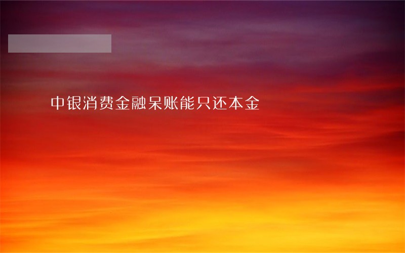 中银消费金融呆账能只还本金 中银消费金融呆账能只还本金