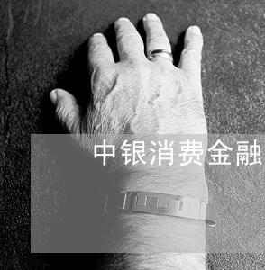 中银消费金融房押贷款逾期 中银消费金融房押贷款逾期