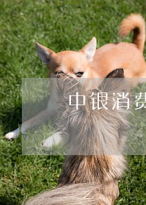 中银消费金融逾期12次 中银消费金融逾期12次