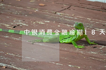 中银消费金融逾期18天