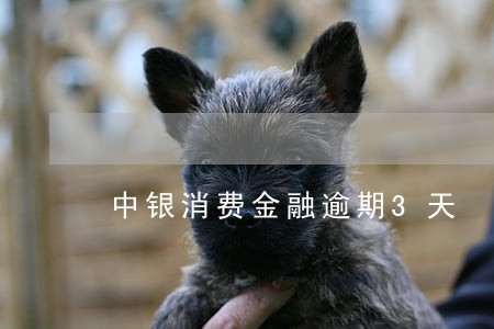 中银消费金融逾期3天 中银消费金融逾期3天