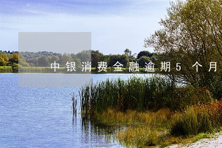 中银消费金融逾期5个月