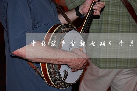 中银消费金融逾期5个月怎么办 中银消费金融逾期5个月怎么办