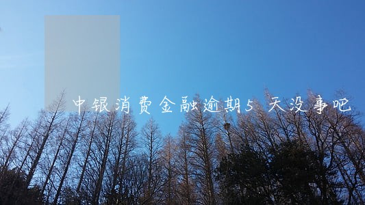 中银消费金融逾期5天没事吧