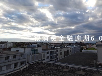 中银消费金融逾期60天 中银消费金融逾期60天