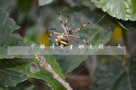中银消费金融逾期7天 中银消费金融逾期7天