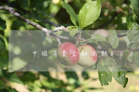 中银消费金融逾期800块 中银消费金融逾期800块