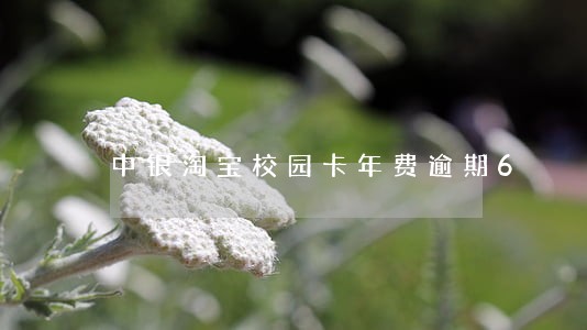 中银淘宝校园卡年费逾期6