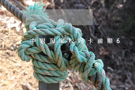 中银淘宝校园卡逾期6