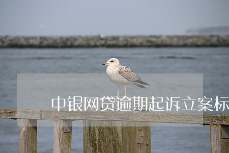 中银网贷逾期起诉立案标准 中银网贷逾期起诉立案标准