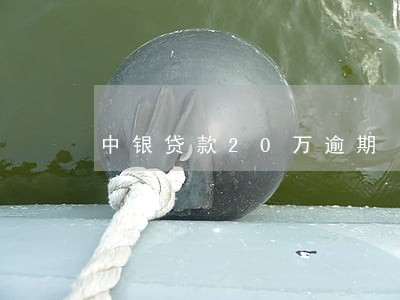 中银贷款20万逾期