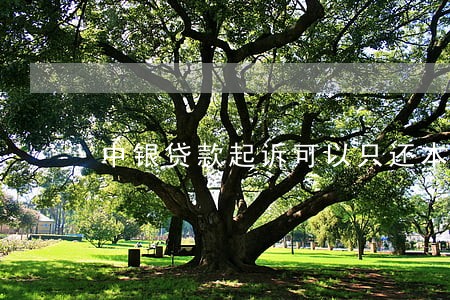 中银贷款起诉可以只还本金吗 中银贷款起诉可以只还本金吗