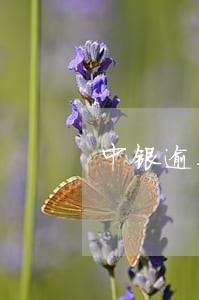 中银逾期90天会怎么样 中银逾期90天会怎么样