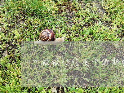 中银银行信用卡逾期会怎么样