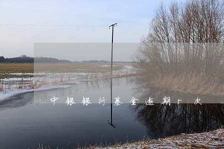 中银银行基金逾期5次 中银银行基金逾期5次