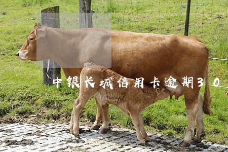 中银长城信用卡逾期3000 中银长城信用卡逾期3000