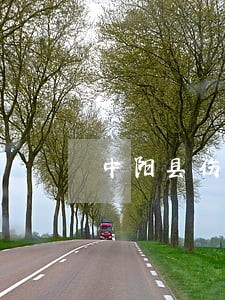 中阳县伤残津贴纠纷律师 中阳县伤残津贴纠纷律师