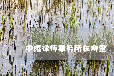 中隆律师事务所在哪里