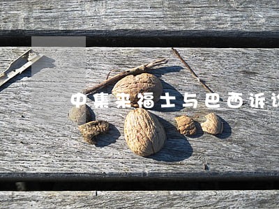 中集来福士与巴西诉讼案件 中集来福士与巴西诉讼案件