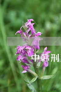 中韩刑法学术研讨会 中韩刑法学术研讨会
