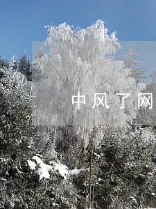 中风了网贷逾期怎么办 中风了网贷逾期怎么办